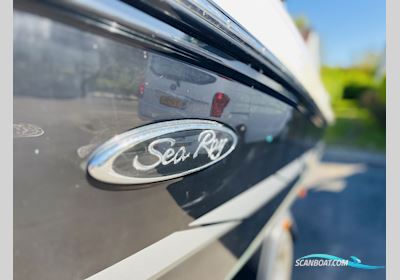 Sea Ray 190 Sunsport Motorbåd 2014, med Mercruiser 3.0 L 135 HK MPI motor, Danmark