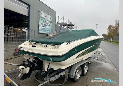 Sea Ray 210 Bowrider Motorbåd 1999, med Mercruiser motor, Holland
