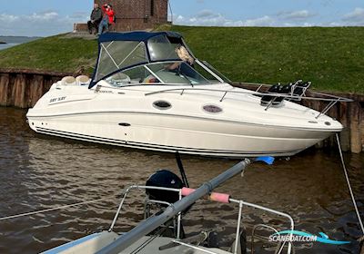 Sea Ray 240 Sundancer mit 3,5 t Ohlmeyer Trailer Motorbåd 2008, med Mercruiser  motor, Tyskland