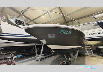 Sea Ray 295 SS Motorbåd 2004, med Mercruiser MX 6.21 Mpi motor, Tyskland