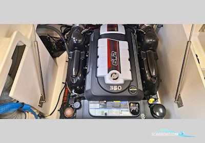 Sea Ray SDX 290 Motorbåd 2024, med Mercury motor, Danmark