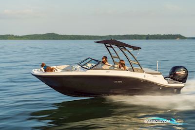 Sea Ray SPX 190 Outboard Motorbåd 2025, med Mercury motor, Danmark