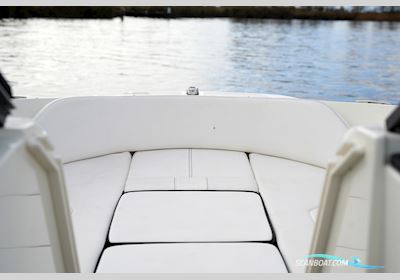 Sea Ray SPX 210 Outboard Motorbåd 2021, Holland
