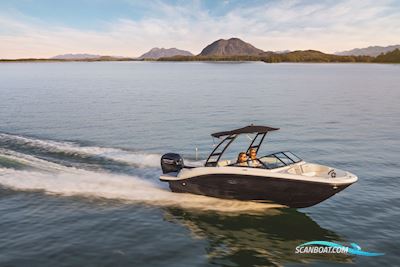 Sea Ray Spx 190 Outboard Motorbåd 2025, med Mercury motor, Danmark