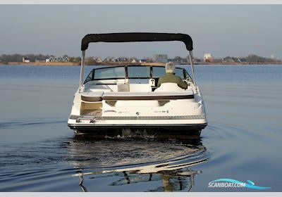 Sea Ray Spx 190 Motorbåd 2020, Holland
