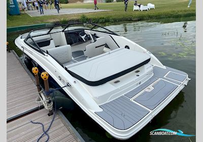 Sea Ray Spx 190 Motorbåd 2024, Holland