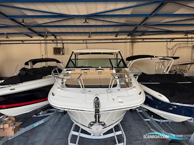 Sea Ray Sundancer 320 Motorbåd 2025, Holland