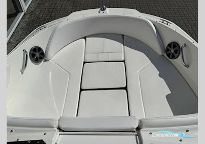 SeaRay 210 SPX OB med F150 Mercury-EFI 4 takt 3,0L XL inkl. Brenderup 2000 kg - Anvisningssalg - SOLGT Motorbåd 2019, med Mercury motor, Danmark