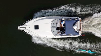 Sealine 328 Sport Bridge Motorbåd 1988, med Volvo Penta motor, Holland