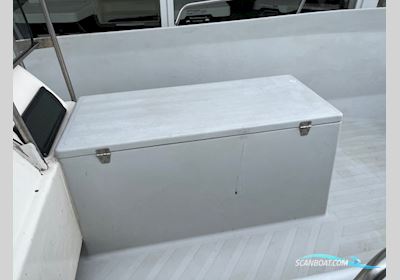 Sealine 530 Styrepultsbåd med 18 hk Mercury 2-takt - Anvisningssalg Motorbåd 2000, med Mercury motor, Danmark