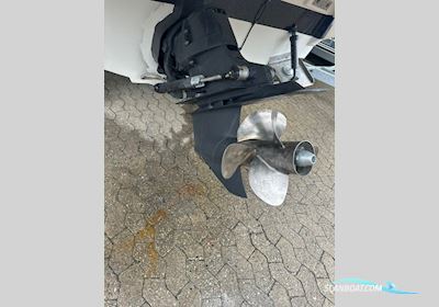 Searay Sundancer 255, Sæsonstart-pris Motorbåd 2008, med Mercruiser motor, Danmark