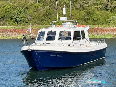 Vigilante Pilot 11.50 Motorbåd 2019, Holland