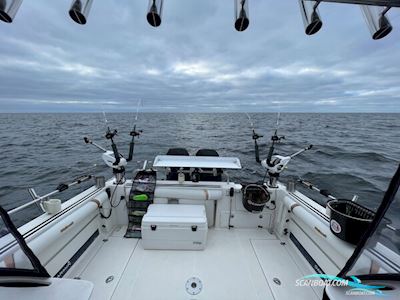 Wellcraft 290 Coastal Motorbåd 2001, med Mercury Verado motor, Danmark