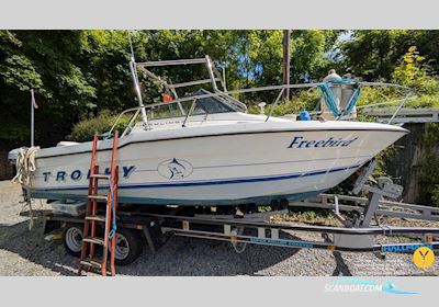 Bayliner Trophy Walkaround 2102 Motorbåt 1993, med Evinrude Etec motor, England
