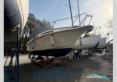 Fjord Dolphin 775 Motorbåt 1990, med Volvo Penta 251 A/SP motor, Italien