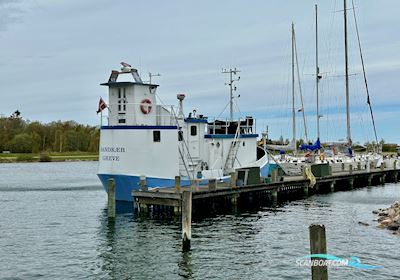 Husbåd/bobåd Motorbåt 2015, med Ford motor, Danmark