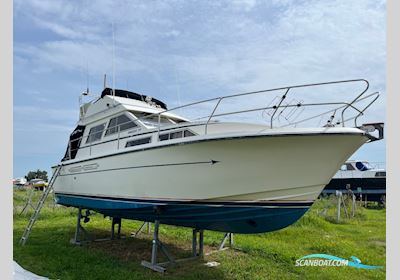 Princess 33 Flybridge Motorbåt 1986, med Volvo Penta Tamd40B motor, Danmark