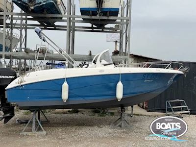 Quicksilver 600 Commander Motorbåt 2005, med Mercury motor, Frankrike