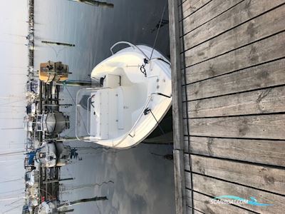 Ryds 510 GTI – Mercury 80 hk (2004) – Inkl. trailer Motorbåt 2004, med Mercury motor, Danmark