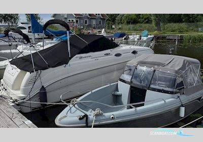 Sea Ray 240 Sundancer Motorbåt 2004, med Mercruiser motor, Sverige