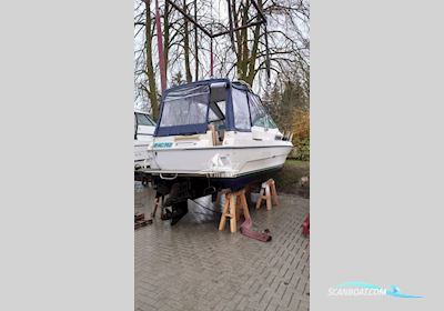 Sea Ray 250 DA Motorbåt 1986, med Volvo Penta motor, Tyskland