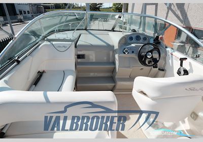 Sea Ray 255 DA Sundancer Motorbåt 2008, med Mercruiser 5.0 MPi motor, Italien