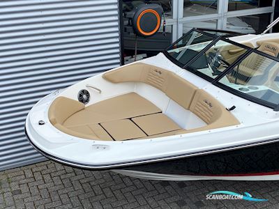 Sea Ray Spx 210 Outboard Motorbåt 2023, Holland