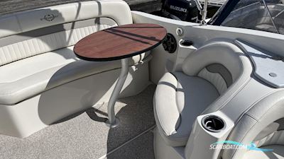 Stingray 250 CS Motorbåt 2013, med  Volvo Penta motor, Sverige