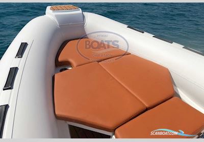 Tiger Marine  620 Pro line Motorbåt 2025, med Mercury motor, Frankrike