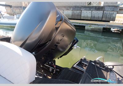Tiger Marine Proline 740 Motorbåt 2025, med Suzuki motor, Ireland