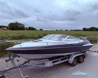 Wellcraft Excel 21 Motorbåt 1996, med Volvo Penta 4.3L V6 motor, Danmark
