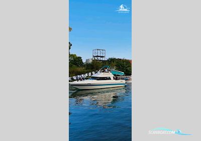 Bayliner 1992 Motorboat 1992, with Mercruiser engine, Germany