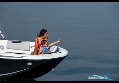 Bayliner M15 Med Mercury F60 Elpt-Efi og Udstyr Motorboat 2024, Denmark