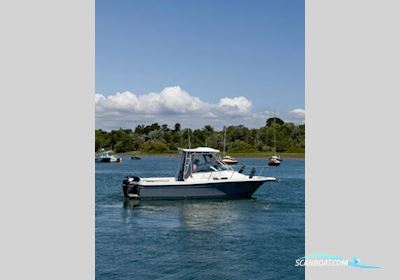Bayliner Trophy 2102 Walkaround Motorboat 2011, with Mercury engine, United Kingdom