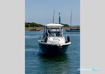 Bayliner Trophy 2102 Walkaround Motorboat 2011, with Mercury engine, United Kingdom
