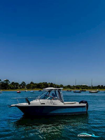 Bayliner Trophy 2102 Walkaround Motorboat 2011, with Mercury engine, United Kingdom