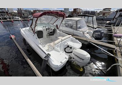 Beneteau Flyer 650 Cabin Motorboat 2006, with Evinrude engine, Sweden