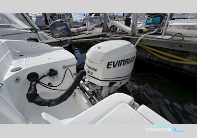 Beneteau Flyer 650 Cabin Motorboat 2006, with Evinrude engine, Sweden