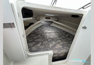 Campion 565 SC Allante Motorboat 2024, Denmark