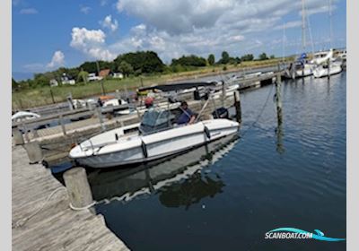 Flipper 600 sc Motorboat 2022, with Mercury engine, Denmark