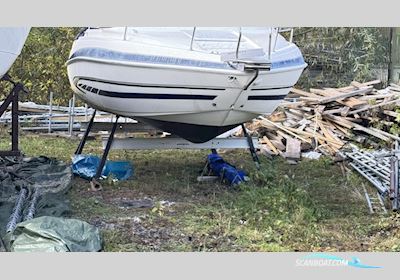 Glastron GT209 Motorboat 2008, with Volvo Penta engine, Sweden