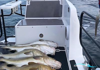 Hydrolift Patrol 42 Discover Motorboat 2018, with Iveco Fpt engine, Norway