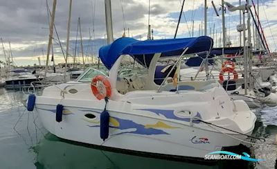 Lema Gold Motorboat 2005, with Volvo Penta engine, Spain