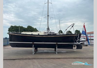 Lifestyle 9.60 Motorboat 2009, with Vetus diesel engine, The Netherlands