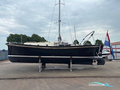 Lifestyle 9.60 Motorboat 2009, with Vetus Diesel engine, The Netherlands