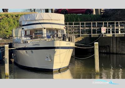 Motor Yacht Fidego Kruiser Super Florida 14.70 Flybridge Motorboat 1975, with Daf engine, The Netherlands