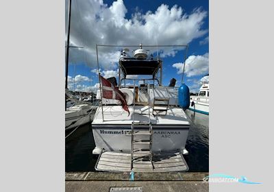 Neptunus 106 Motorboat 1990, with Volvo Penta engine, Denmark