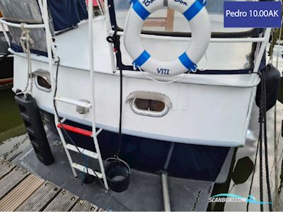 Pedro 10.00 AK Motorboat 1980, The Netherlands