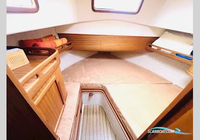 Phgt Omega Buster 800 M Motorboat 2011, with Yanmar 3YM30 engine, Germany