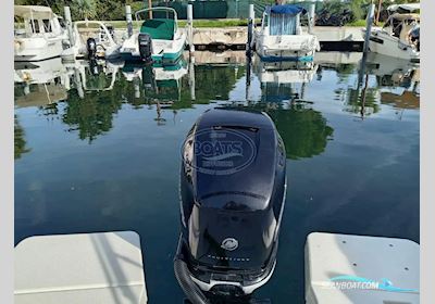 Quicksilver  755 Sundeck Motorboat 2018, with Mercury  engine, France